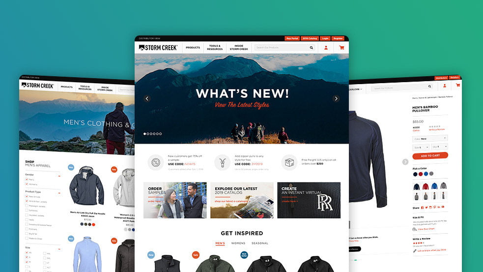 I will develop your outstanding Business E-commerce website in 3 days