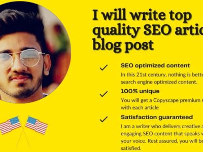 I will write top quality seo article or blog post