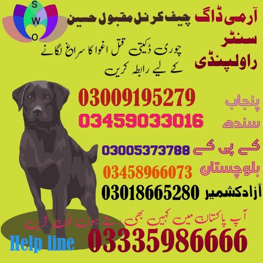 Army Dog Center Peshawar 03459033016