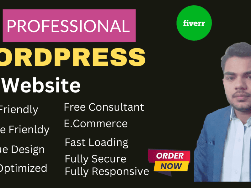 Professional WordPress Expert