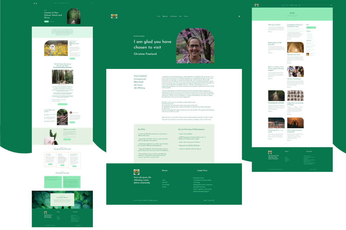 Elementor Website Design & Development