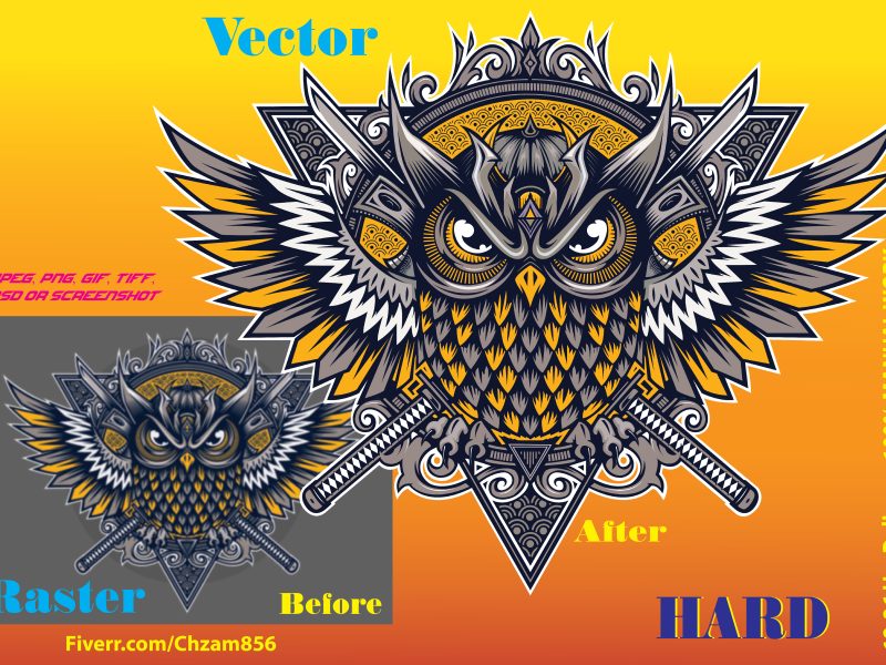 You will get manually vectorize your old logo, image, drawing in HD Quality.