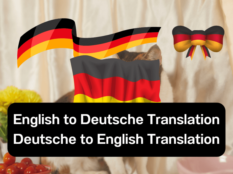 Native English to German Deutsche Translation or German Deutsche to English Translation 1000 Words