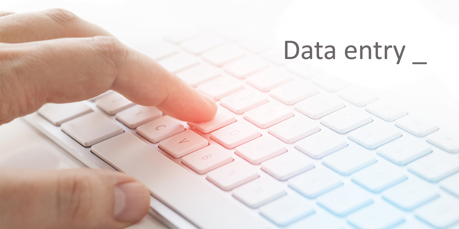 Online entering data on office pack and documents work or websites