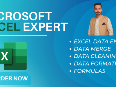 I will do clean, organize and merge excel or CSV data