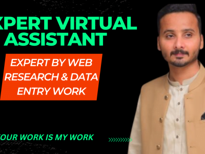 I will be your virtual assistant for web research and data entry work