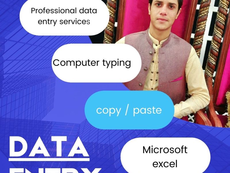 I will do in all data entry services and all types of computer catagory