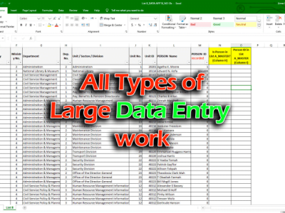 I will do fast data entry, copy paste, data formatting and cleaning, remove duplicate