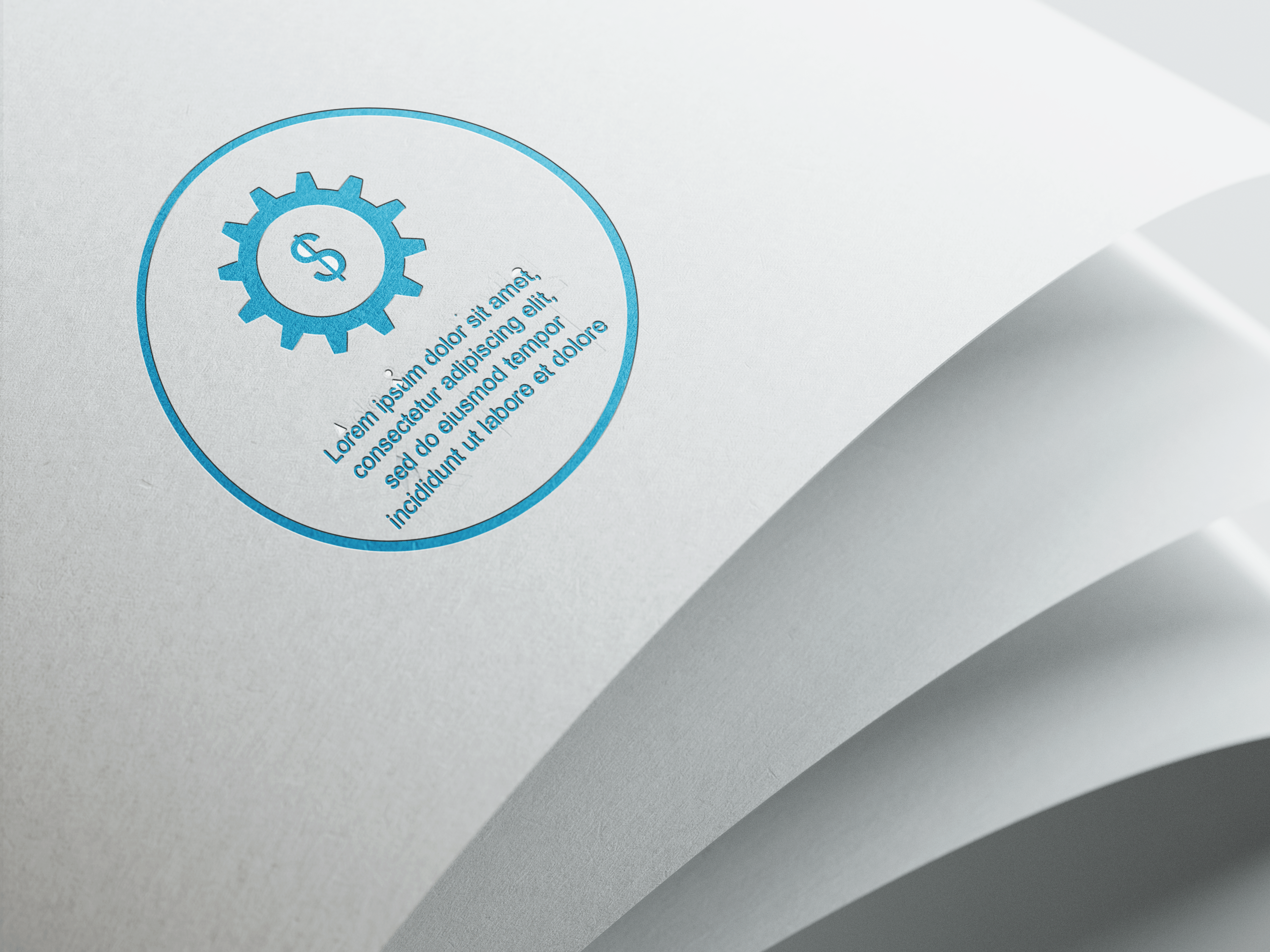 Graphics Designer