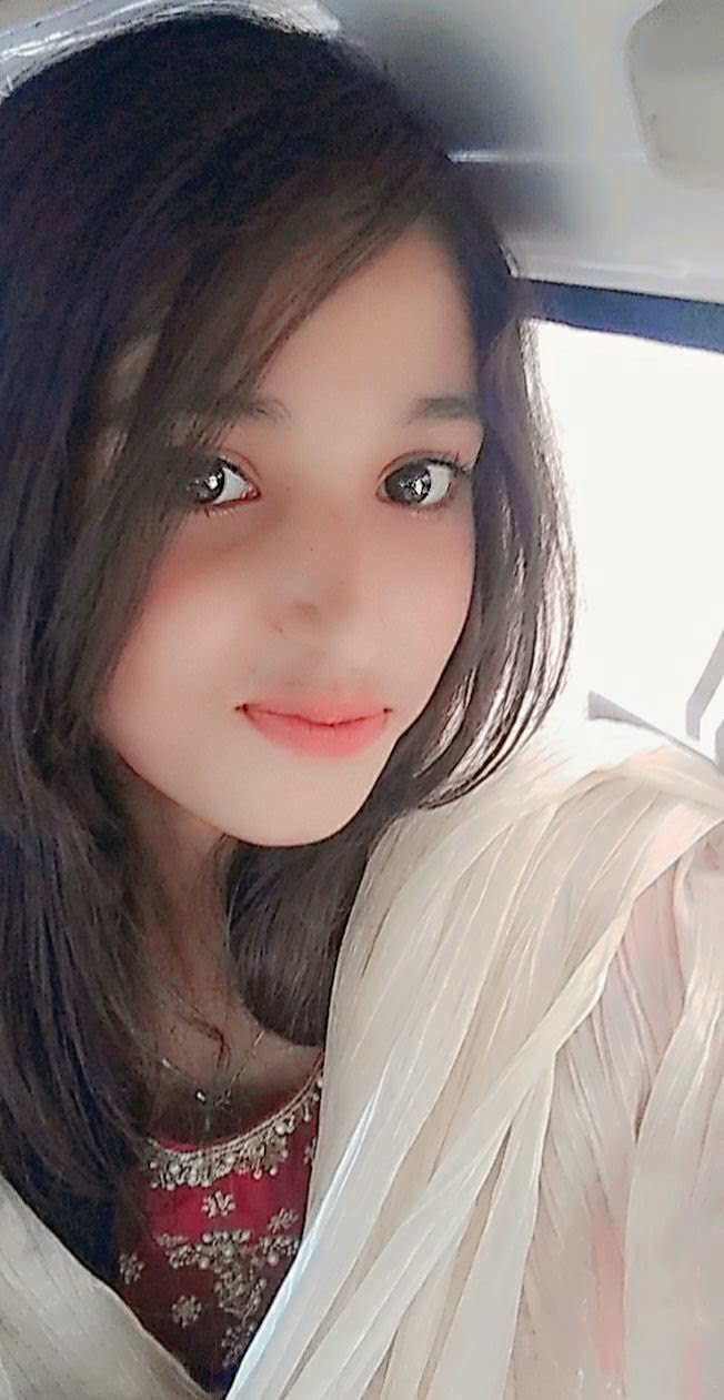 I am link builder & article writer