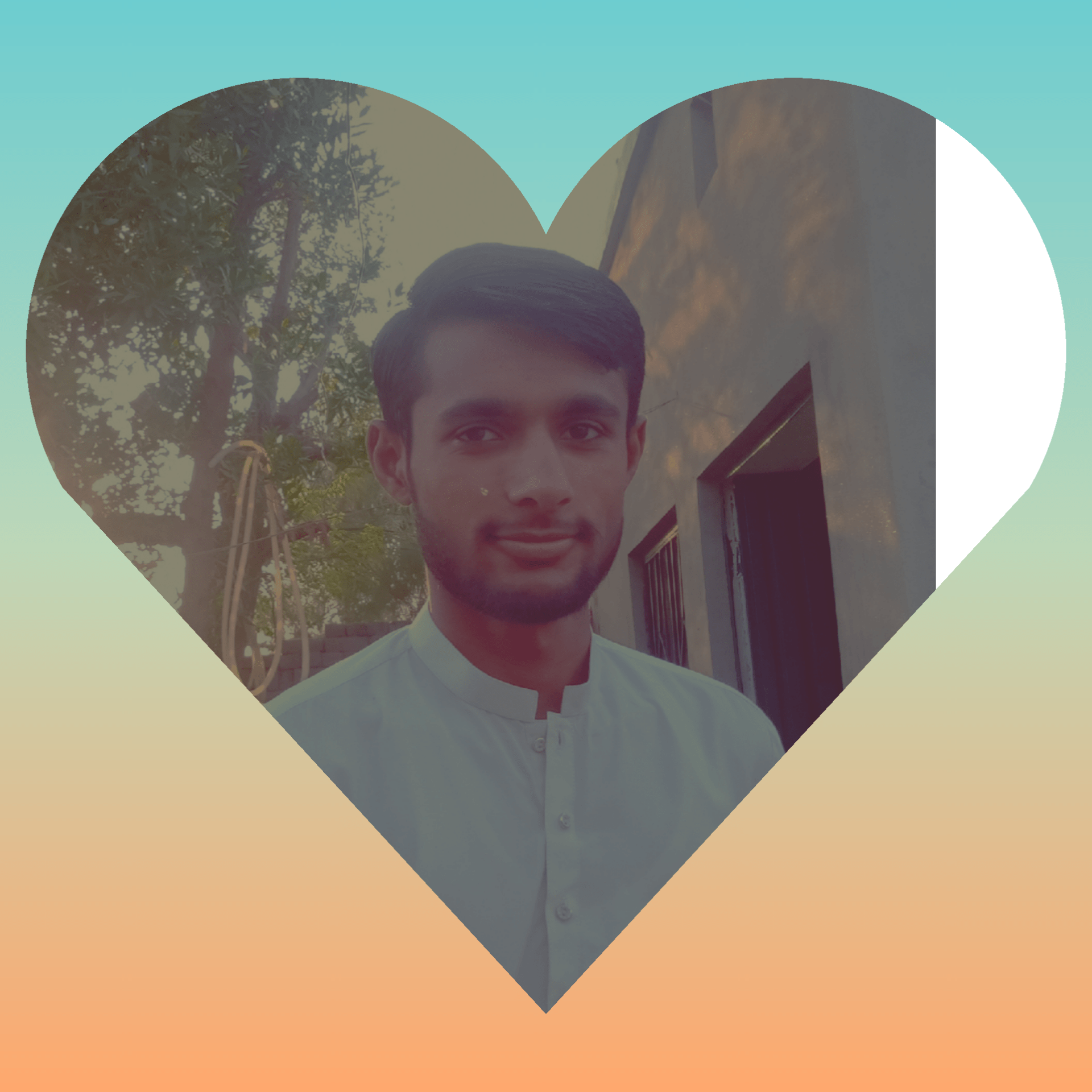 I will be a graphic designer