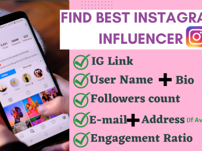 I will find best instagram influencer for your niche