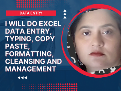 I will do excel data entry, typing, copy paste, formatting, cleansing and management