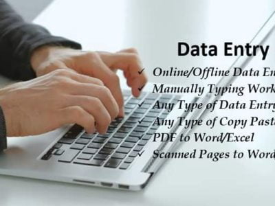 Expert Article writing-Blogging-Data Entry-Word-PDF