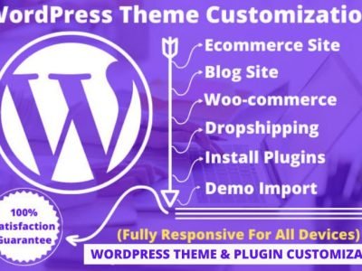 wordpress theme & plugin customization,speed optimization