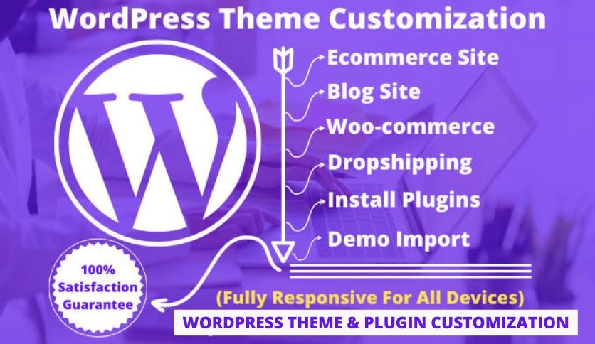 wordpress theme & plugin customization,speed optimization