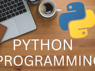 I will do python programming