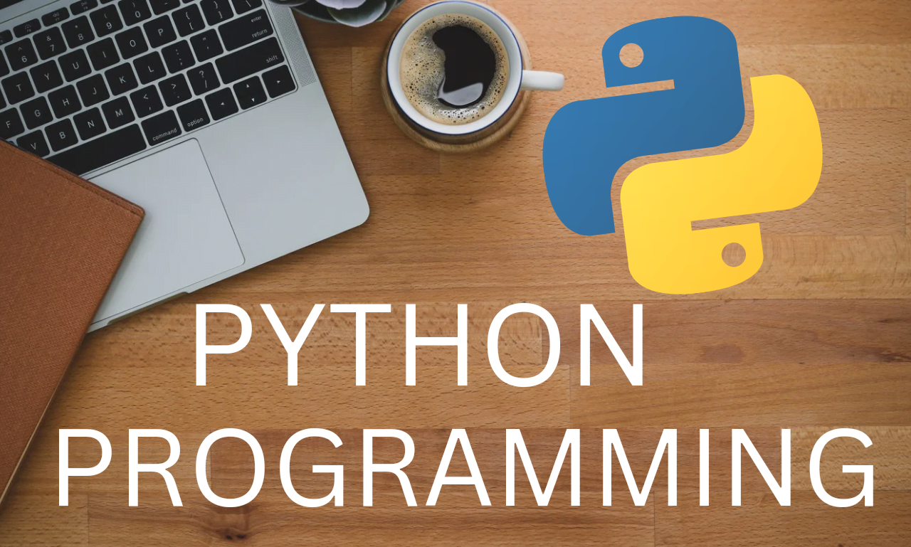 I will do python programming