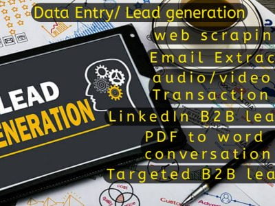 Data Entry / Lead Generation
