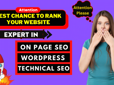 I will do complete on page SEO and technical optimization of your website