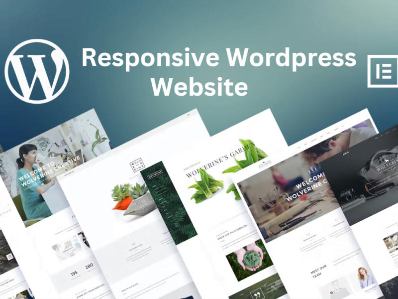 I will create your wordpress website or business website