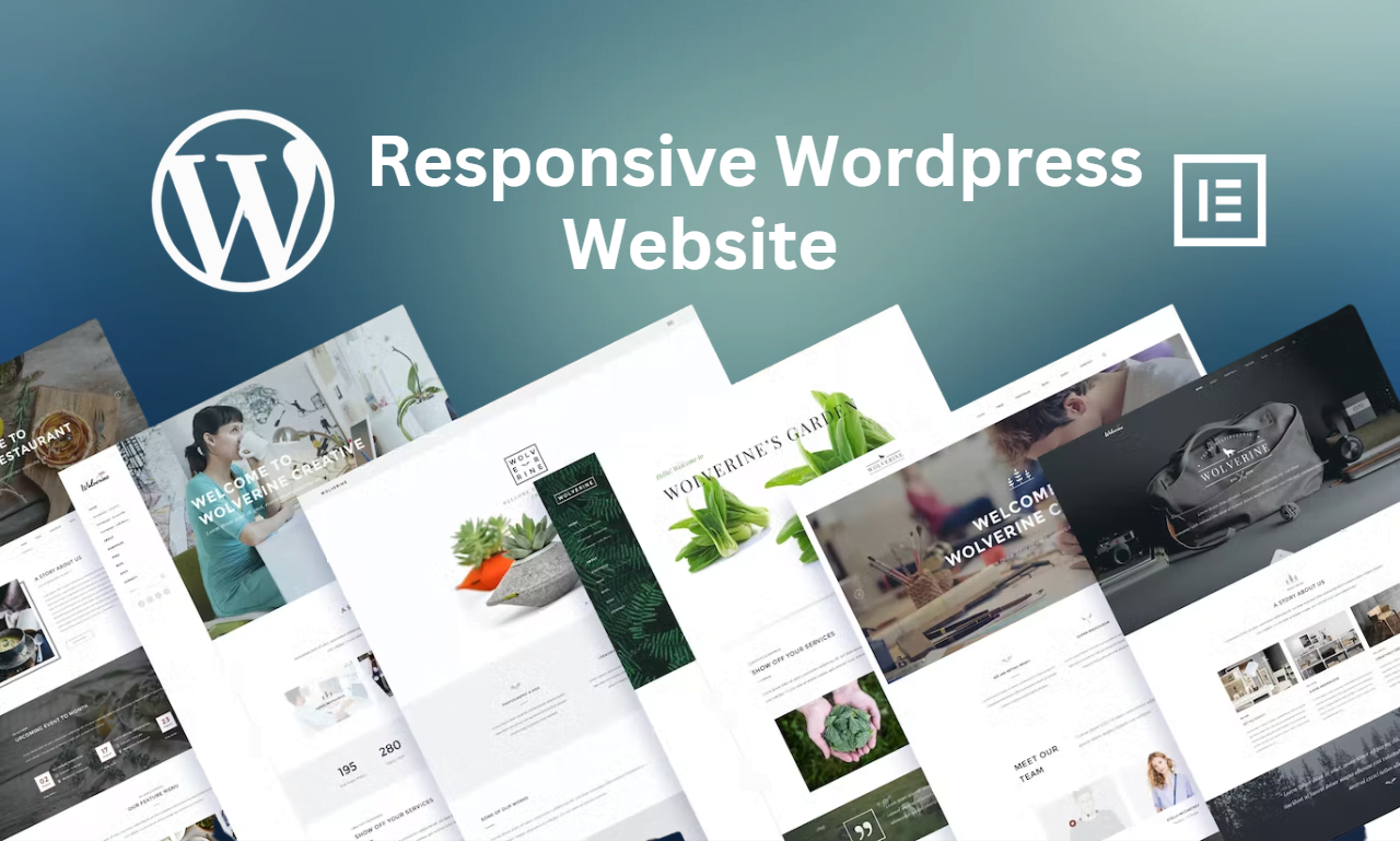 I will create your wordpress website or business website