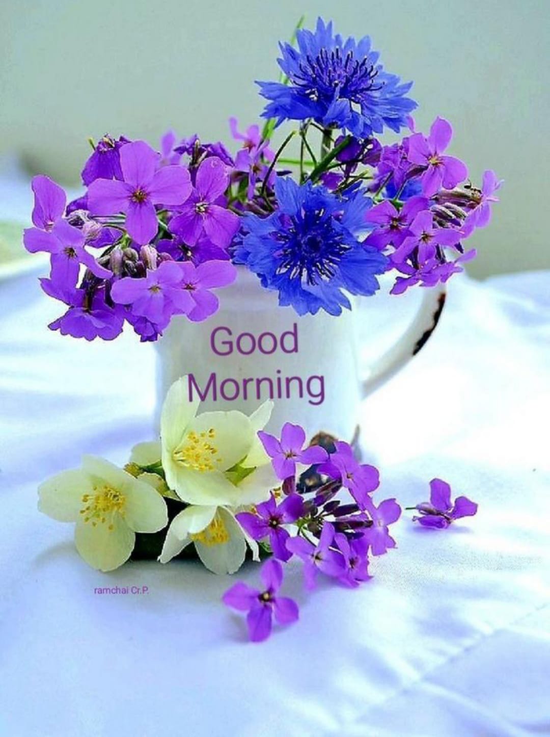 Good morning