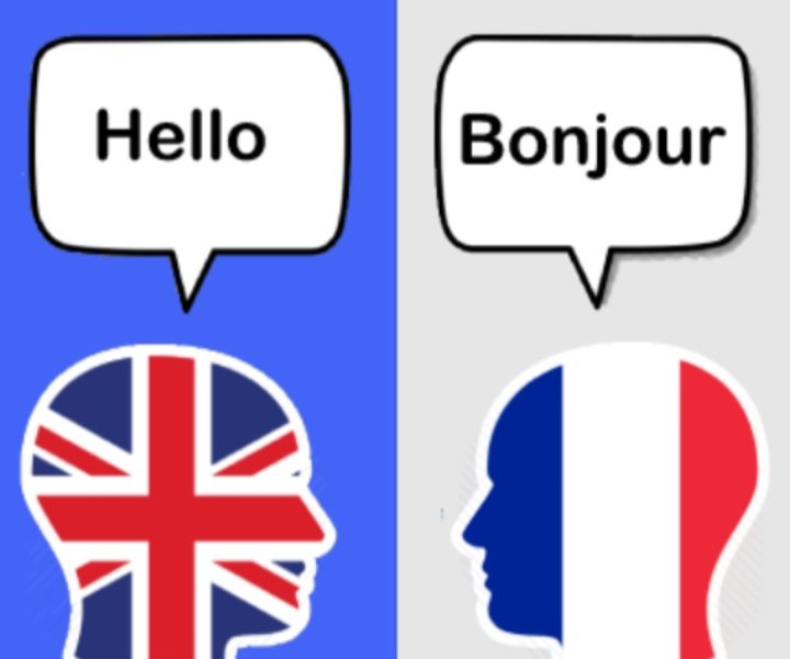 I will do translation English to French and french to English