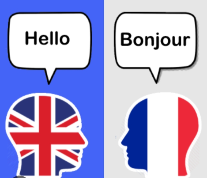 I will do translation English to French and french to English