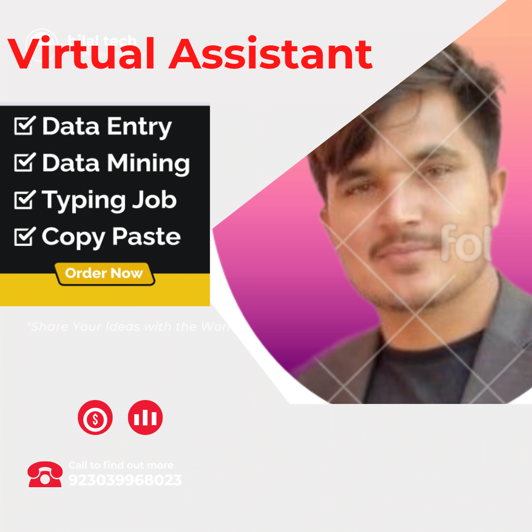I will do Data entry, virtual assistant and Translation