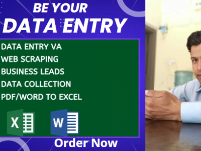 virtual assistant for data entry and web research