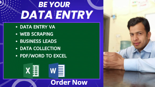 virtual assistant for data entry and web research