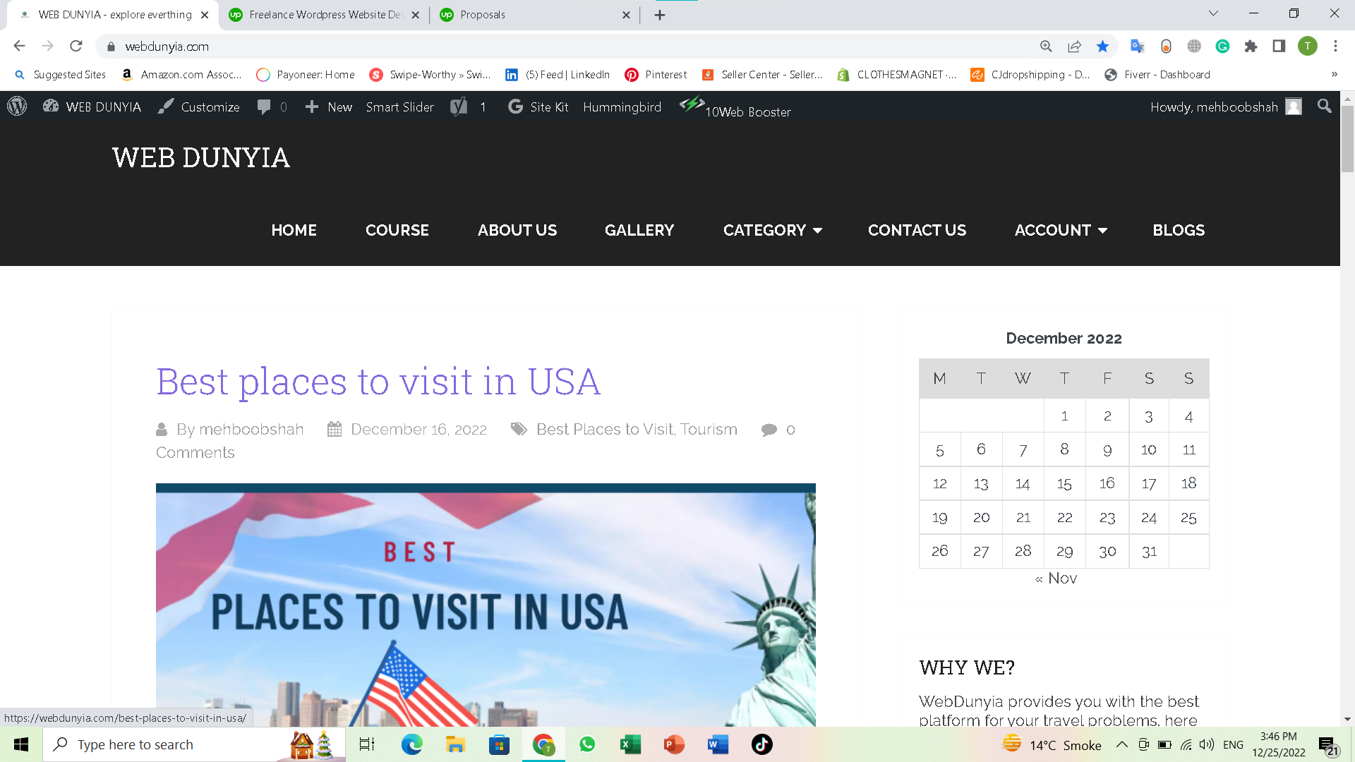 I will build a wordpress website for you with free premium theme