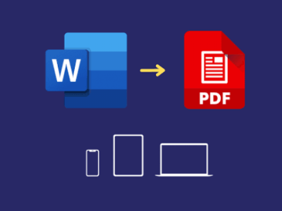 Convert document's or file into MS word and PDF...MS word convert into PDF