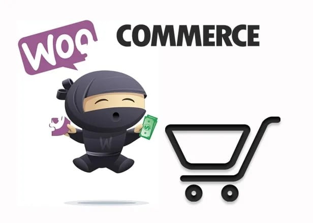 I will develop business, ecommerce or marketplace website for you