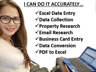 I will do excel data entry, copy paste, PDF to excel, web research and typing