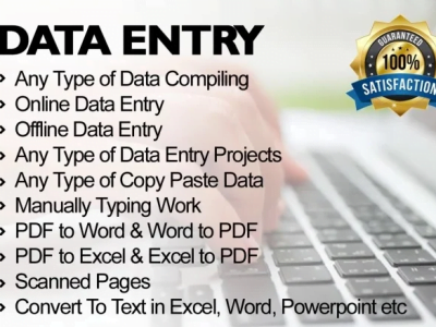 I will do Data Entry