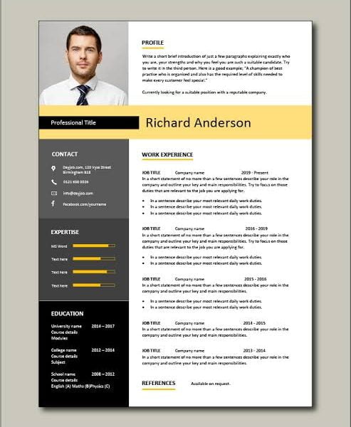 Professional CV in PDF