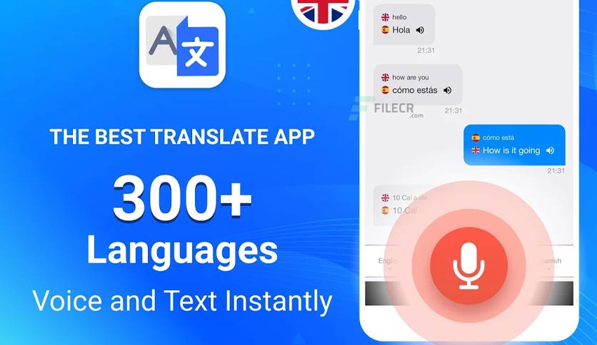 I can do Translation language to any Language
