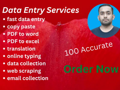 I will do fast data entry,copy paste,typing,data collection