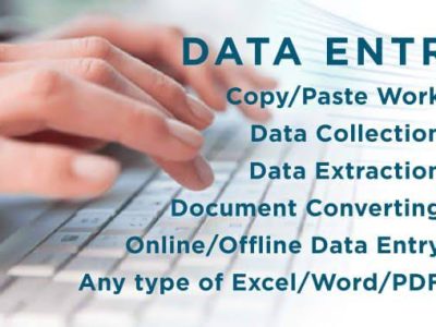 Data Entry Typing Work,Copy Paste Data Work, PDF file convert into Word,Ms Word Typing Work,Ms Excel Typing Work,PowerPoint Presentation,Excel