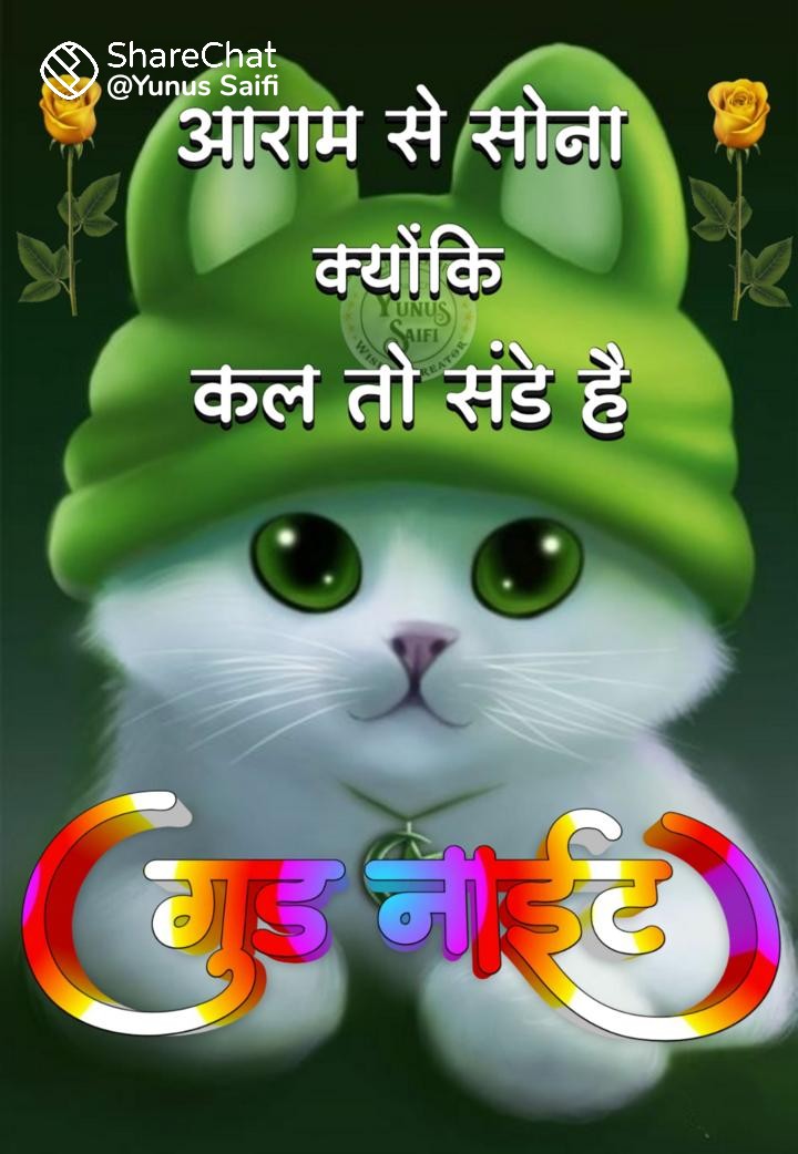 Sunday good night