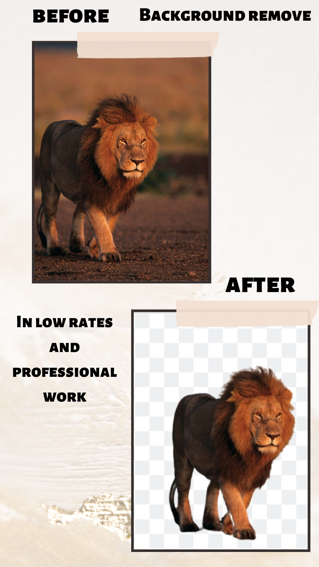 I will do your add and remove work from photo in low price and professional work