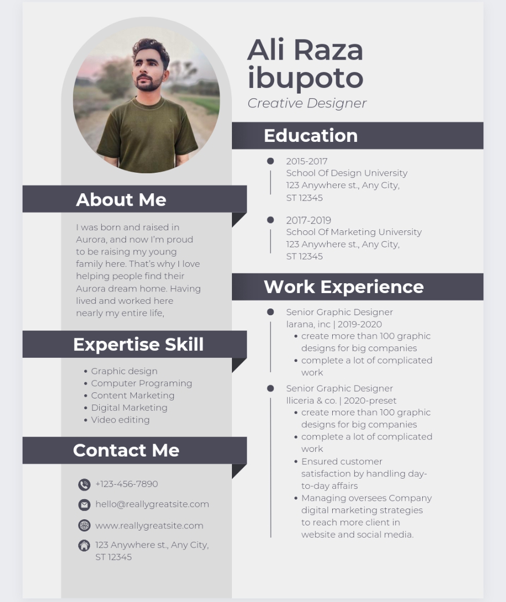 Professional Resume CV