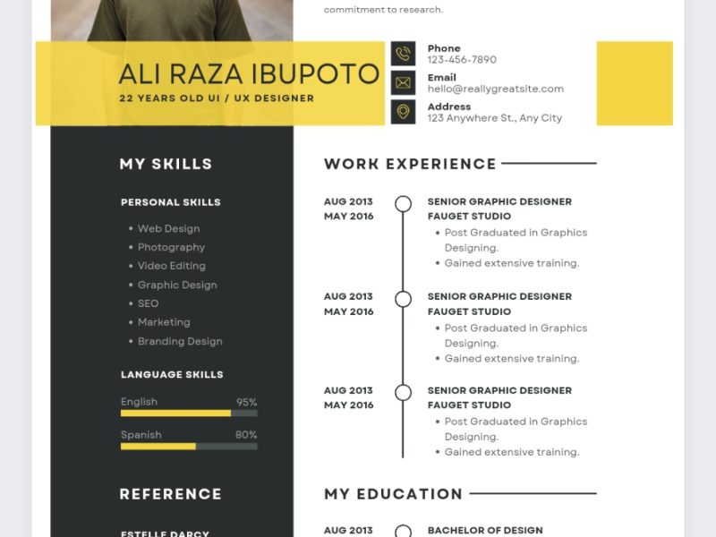 Professional Resume CV