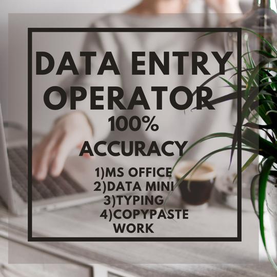 I will do data entry, copy paste, excel data entry and convert pdf into word & excel sheet