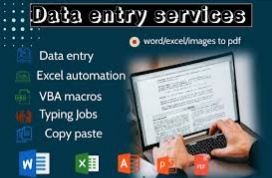 I will do data entry typing work Ms excel work web and email scraping from any source