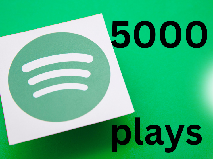 ADD 5000+ SPOTIFY USA PLAYS FAST DELIVERY
