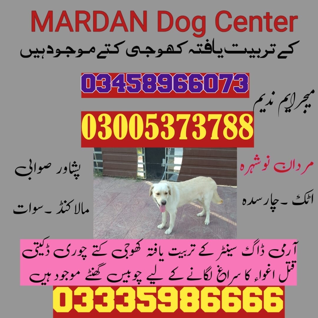 Army Dog Center Mardan 03458966073