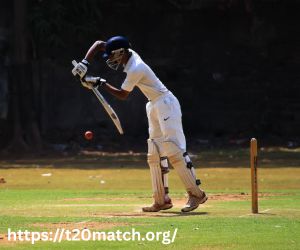 T20Match Turns Raw Numbers into Winning Cricket Strategy Insights